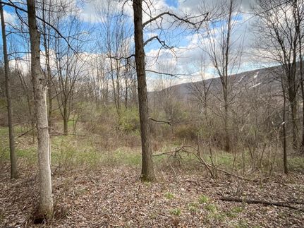 Property in Ontario County, New York