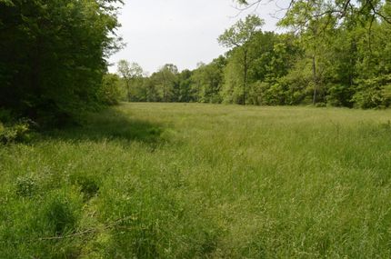 Property in Camden County, Missouri