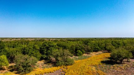 Property in Live Oak County, Texas