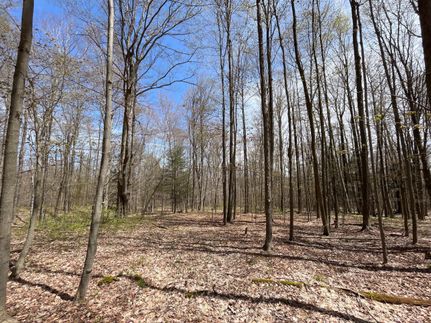 Property in Erie County, New York