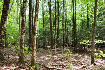 Property in Fulton County, New York