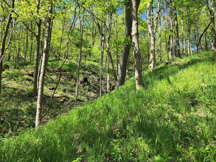 Property in Allegheny County, Pennsylvania