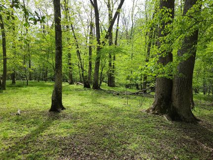 Property in Caroline County, Maryland