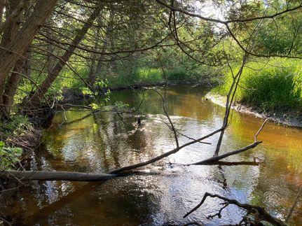 Property in Waupaca County, Wisconsin