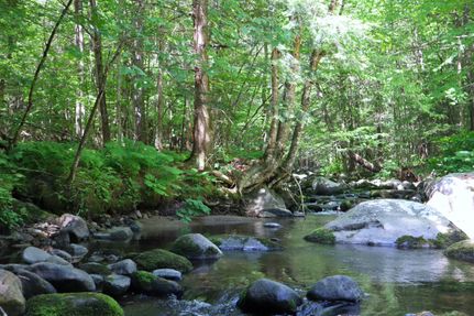 Property in Warren County, New York