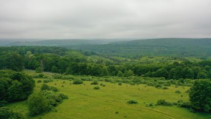 Property in Cambria County, Pennsylvania
