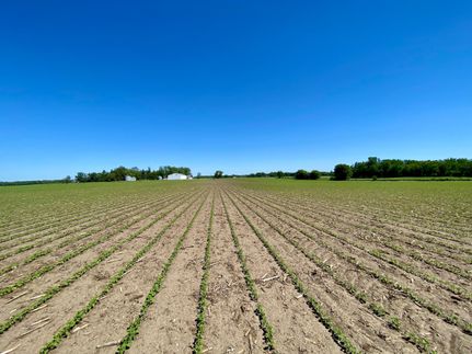 Property in Fillmore County, Minnesota