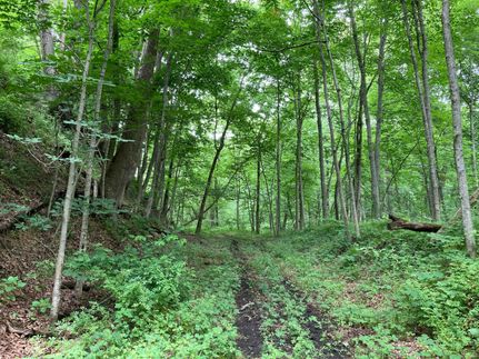 Property in Perry County, Ohio