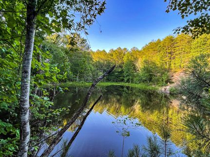 Property in Winston County, Alabama