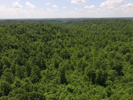 Property in Green County, Kentucky