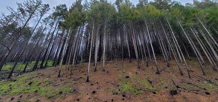 Property in Marion County, Oregon