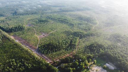 Property for sale in Nassau County, Florida