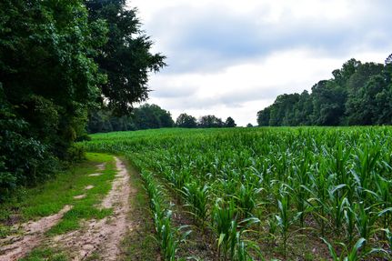 Property in Guilford County, North Carolina