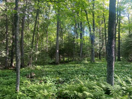 Property in Saint Louis County, Minnesota