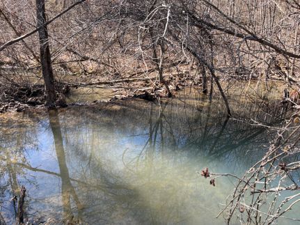 Property in Searcy County, Arkansas