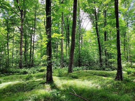 Property in Langlade County, Wisconsin