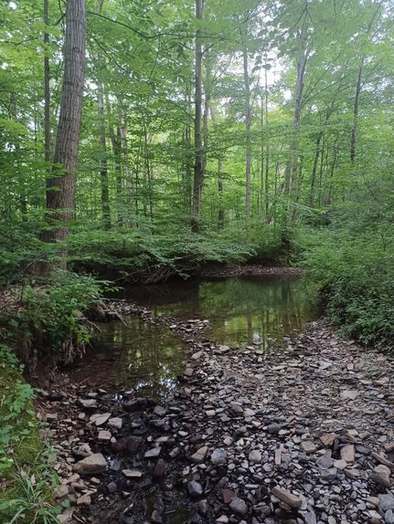 Property in Blair County, Pennsylvania