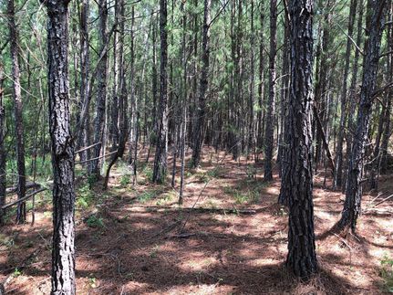 Property in Hancock County, Georgia