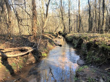 Property in Jasper County, Georgia