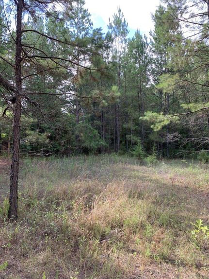 Property in Nacogdoches County, Texas