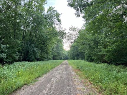 Property in Red River County, Texas