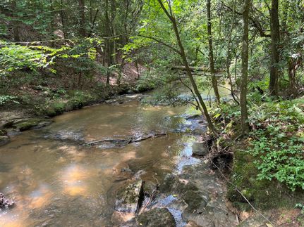 Property in Yadkin County, North Carolina