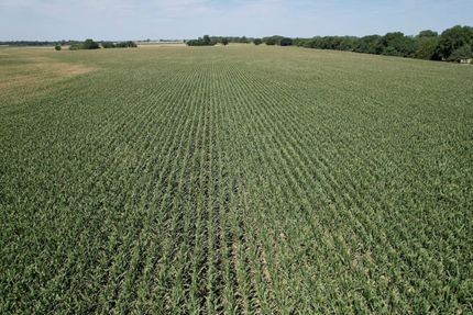 Property in Sedgwick County, Kansas