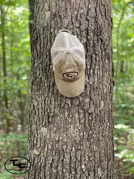 Property in Jackson County, Alabama