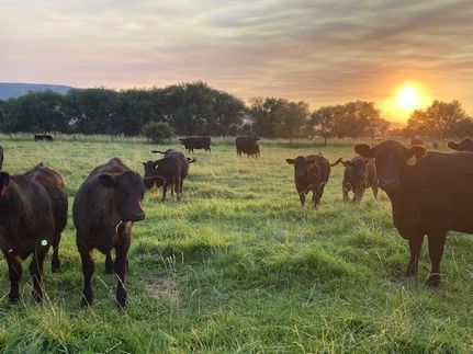 Property in Union County, Oregon