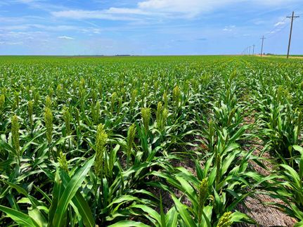 Property in Ford County, Kansas