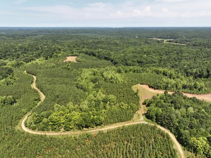 Property in Trigg County, Kentucky