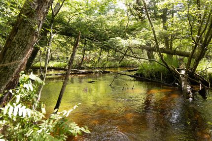 Property in Newaygo County, Michigan