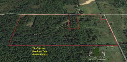 Property in Gratiot County, Michigan