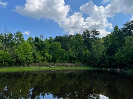 Property in Dade County, Georgia