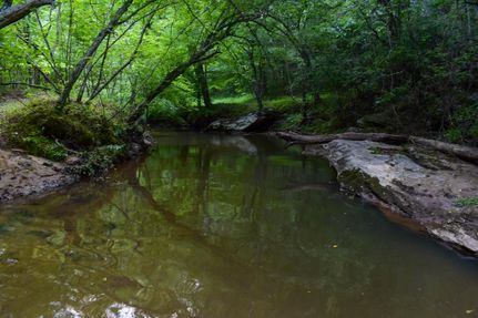 Property in Stokes County, North Carolina