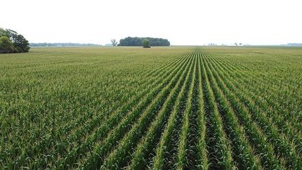 Property in Howard County, Indiana