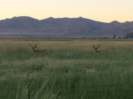 Property in Humboldt County, Nevada
