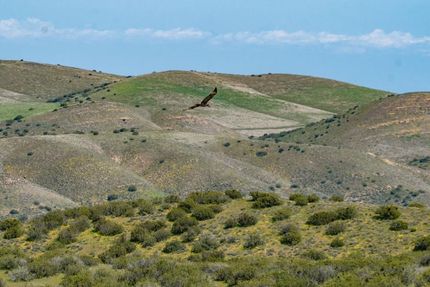 Property in San Luis Obispo County, California