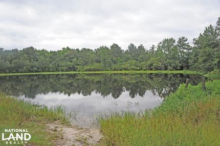 Property in Marlboro County, South Carolina