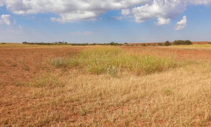 Property in Crosby County, Texas