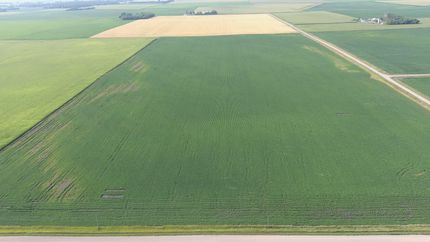 Property in Chippewa County, Minnesota