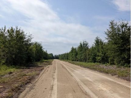 Property in Madison County, Florida