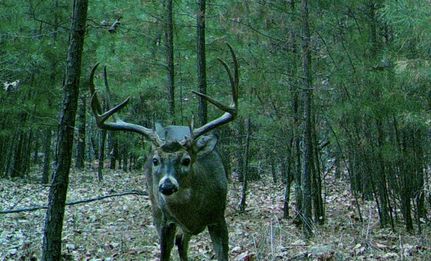 Property in Latimer County, Oklahoma