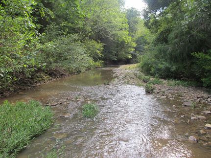 Property in Madison County, Arkansas