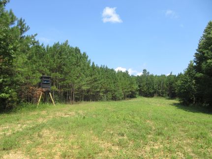 Property in Marion County, Alabama