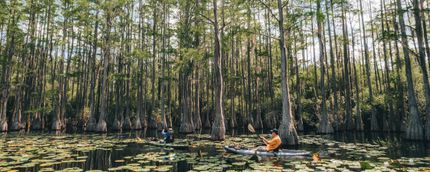 Property in Jefferson County, Florida