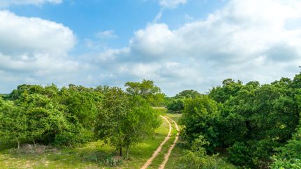 Property in Wilson County, Texas