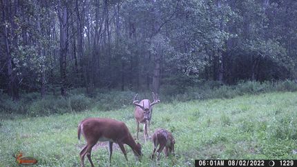 Property in Lee County, Iowa