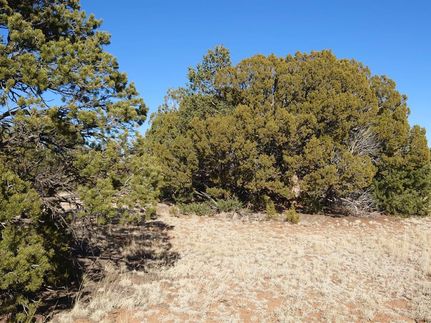 Property in Torrance County, New Mexico