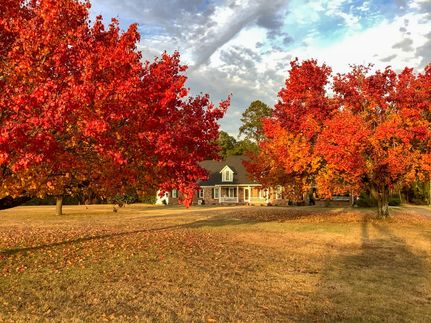 Property in Clarendon County, South Carolina